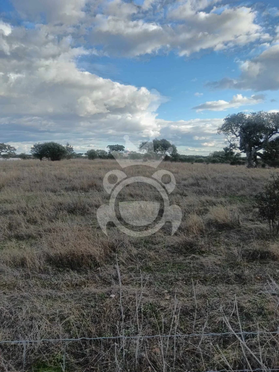 Terreno para Venda em Capelins (Santo Antonio) Foto 12