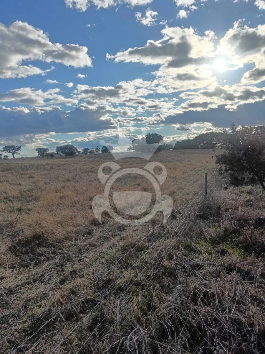 Terreno para Venda em Capelins (Santo Antonio) Foto 3
