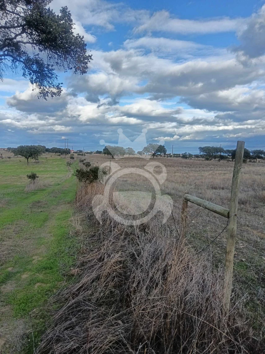 Terreno para Venda em Capelins (Santo Antonio) Foto 11