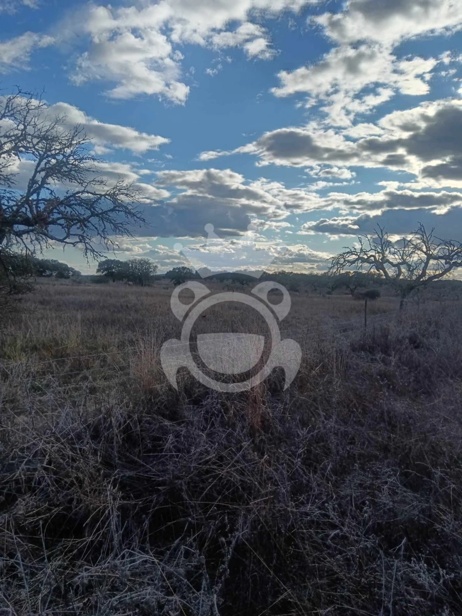 Terreno para Venda em Capelins (Santo Antonio) Foto 18