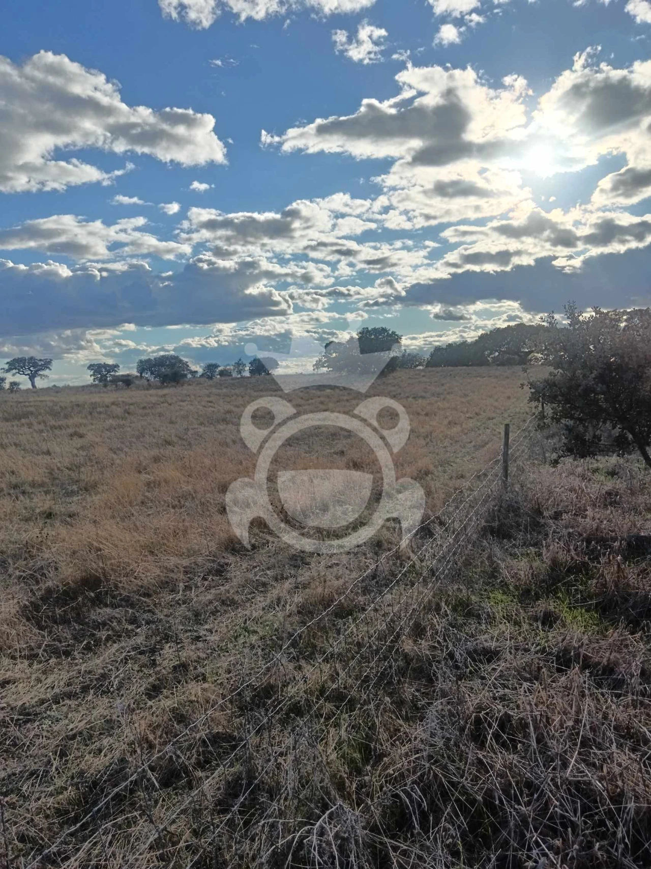 Terreno para Venda em Capelins (Santo Antonio) Foto 3