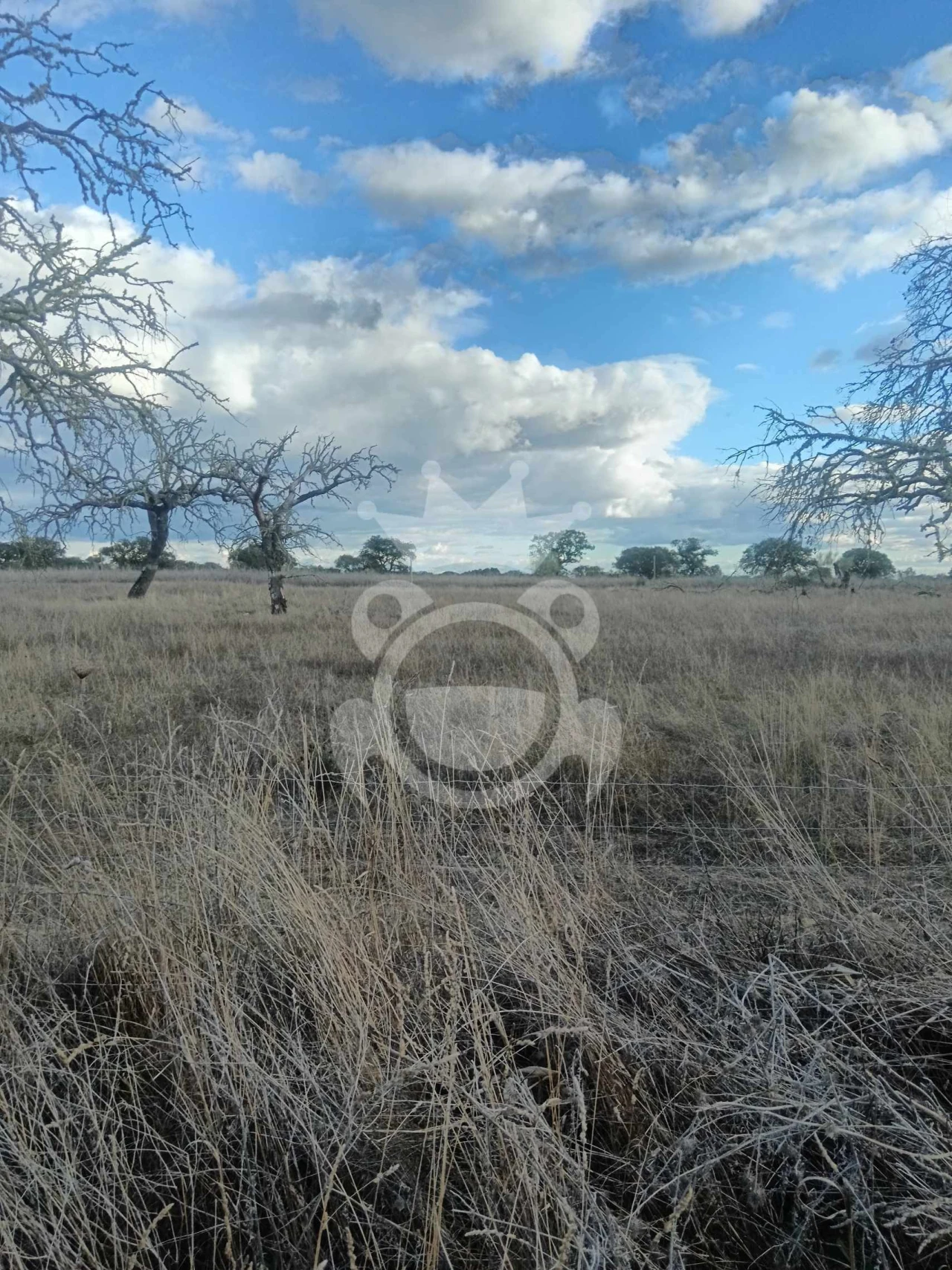 Terreno para Venda em Capelins (Santo Antonio) Foto 16