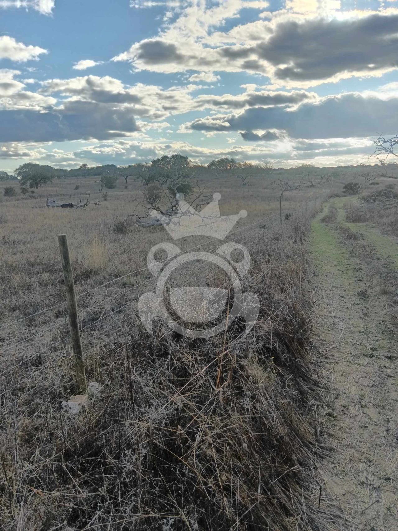 Terreno para Venda em Capelins (Santo Antonio) Foto 19