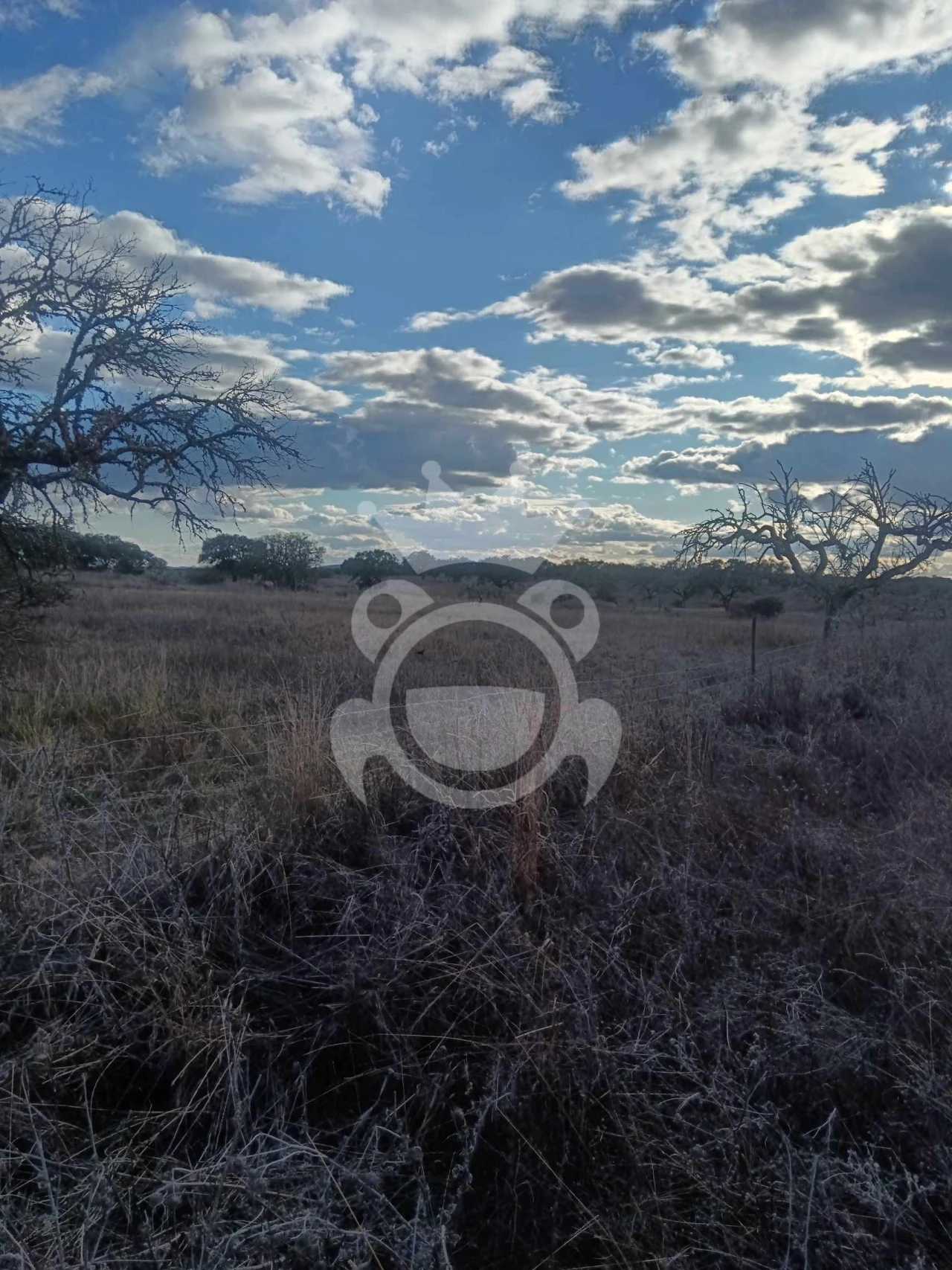 Terreno para Venda em Capelins (Santo Antonio) Foto 18