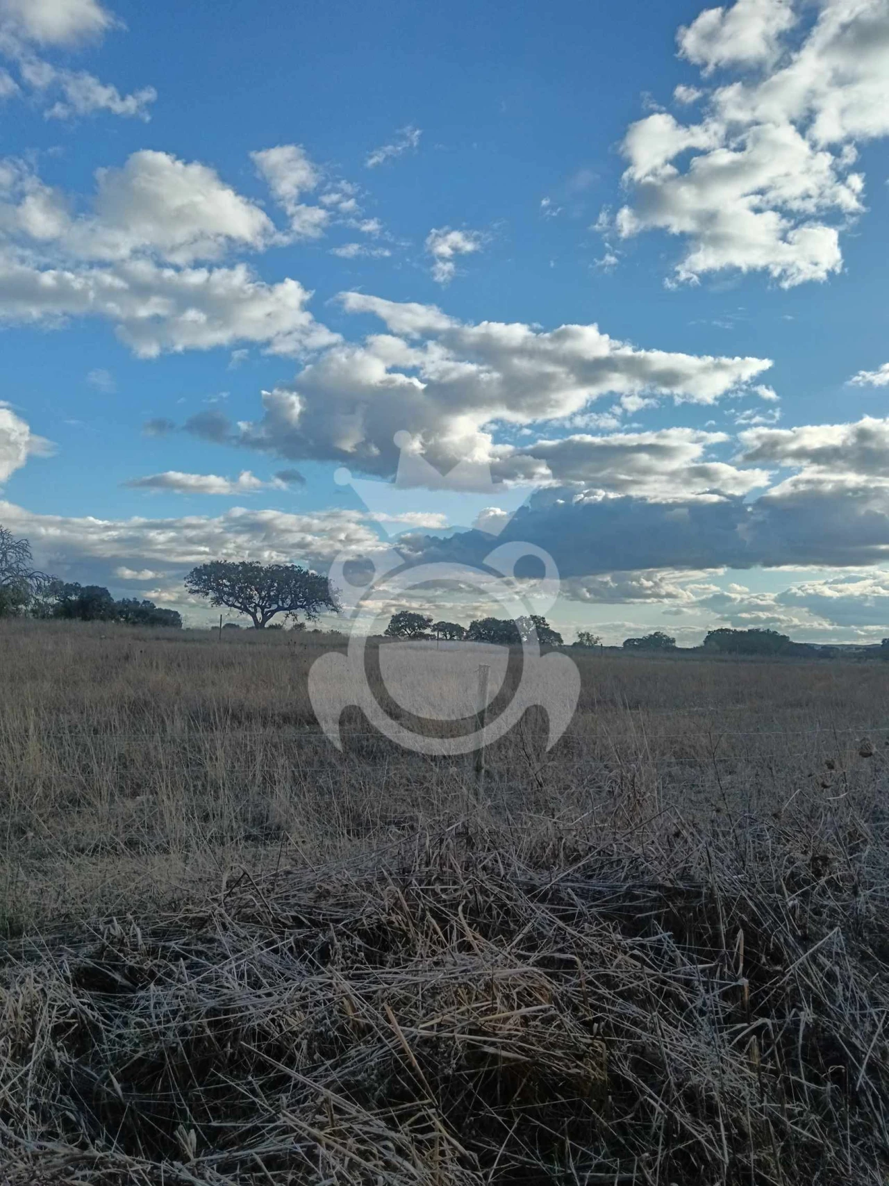 Terreno para Venda em Capelins (Santo Antonio) Foto 14