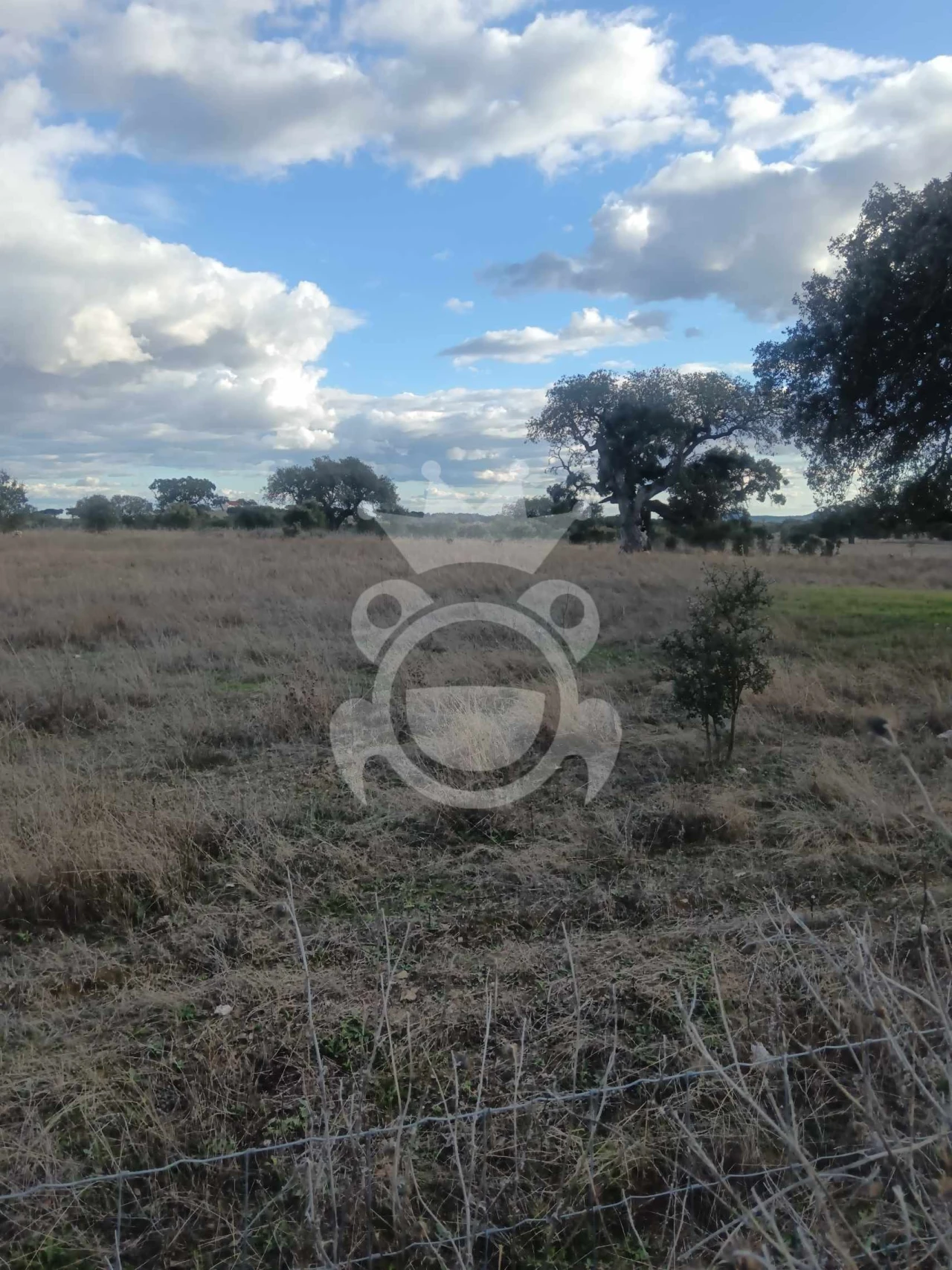 Terreno para Venda em Capelins (Santo Antonio) Foto 10