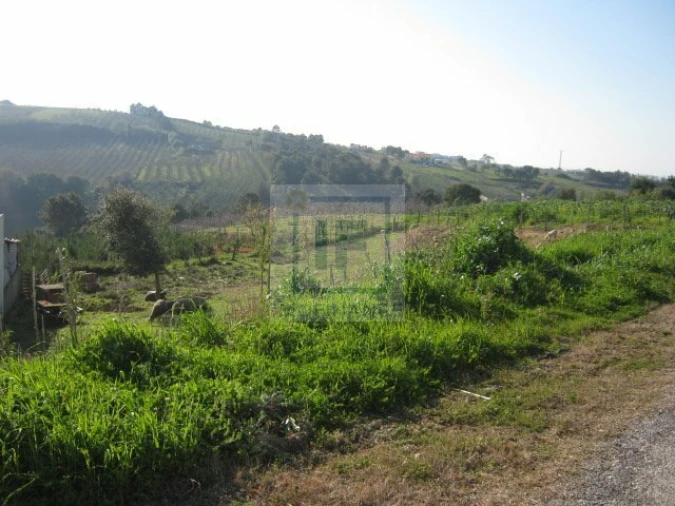 Terreno para Venda em Santa Maria, São Pedro e Sobral da Lagoa Foto 4