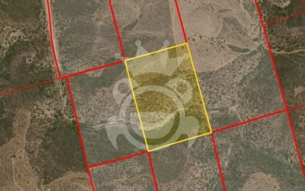 Terreno para Venda em Serpa (Salvador e Santa Maria)