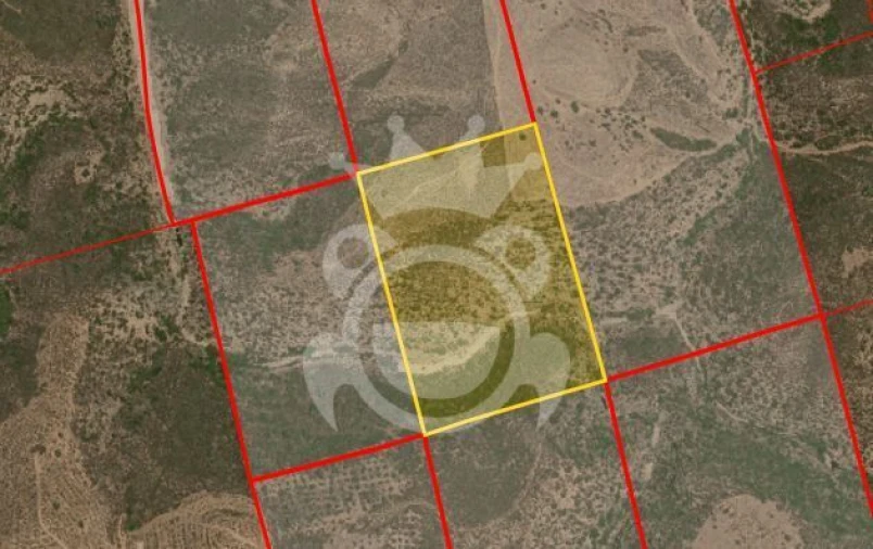 Terreno para Venda em Serpa (Salvador e Santa Maria) Foto 1