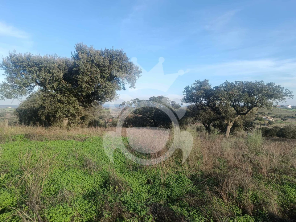 Terreno para Venda em Capelins (Santo Antonio) Foto 16