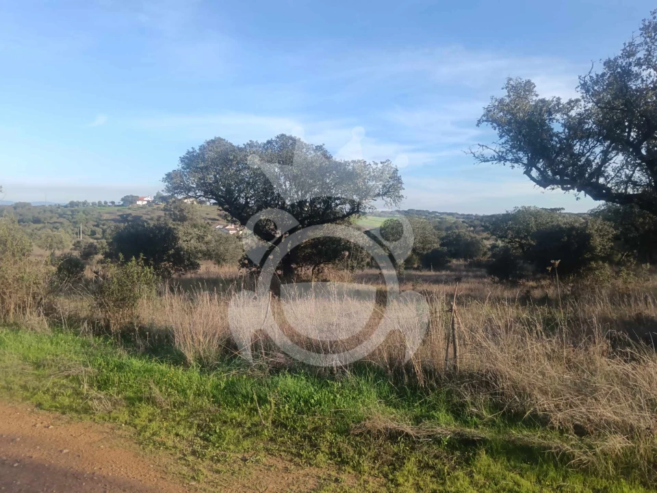 Terreno para Venda em Capelins (Santo Antonio) Foto 1