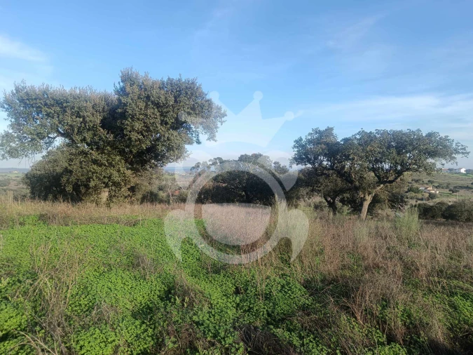 Terreno para Venda em Capelins (Santo Antonio) Foto 16