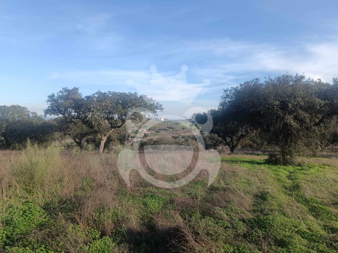 Terreno para Venda em Capelins (Santo Antonio) Foto 17