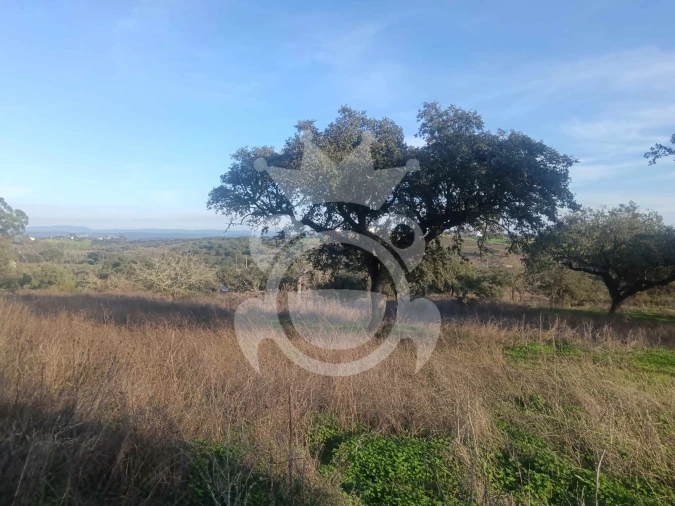 Terreno para Venda em Capelins (Santo Antonio) Foto 10