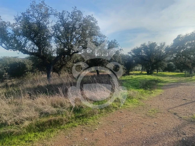 Terreno para Venda em Capelins (Santo Antonio) Foto 2