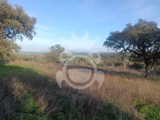 Terreno para Venda em Capelins (Santo Antonio) Foto 9