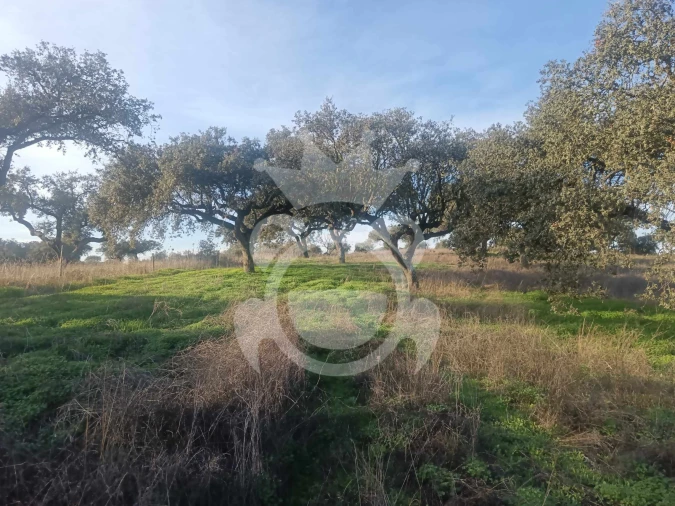 Terreno para Venda em Capelins (Santo Antonio) Foto 3