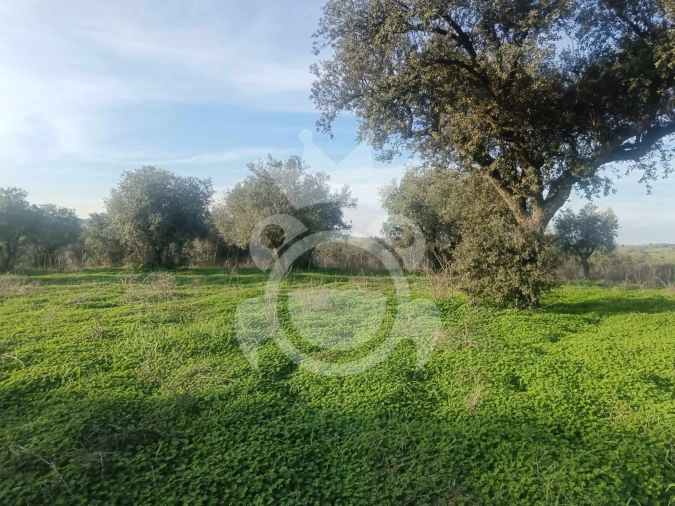 Terreno para Venda em Capelins (Santo Antonio) Foto 19