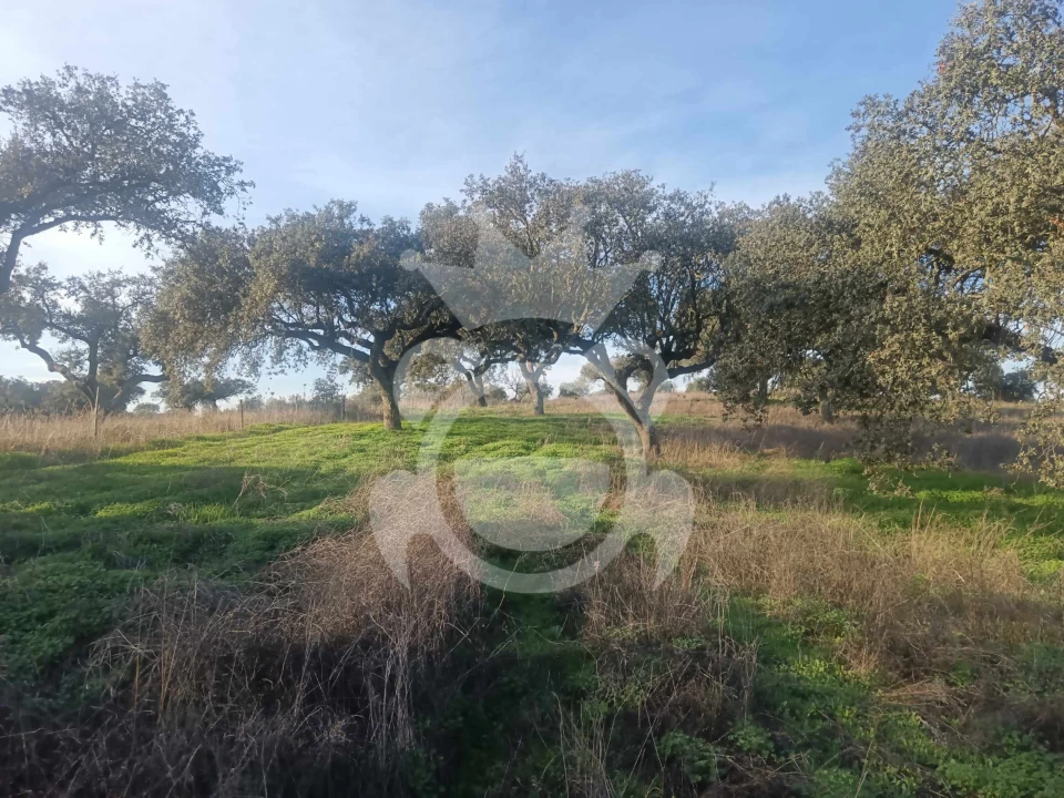Terreno para Venda em Capelins (Santo Antonio) Foto 3