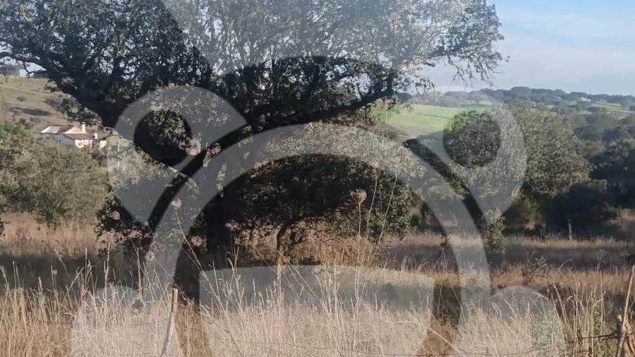 Terreno para Venda em Capelins (Santo Antonio)
