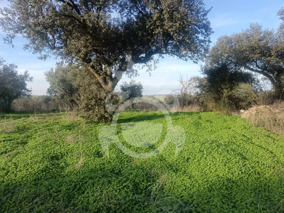 Terreno para Venda em Capelins (Santo Antonio) Foto 18