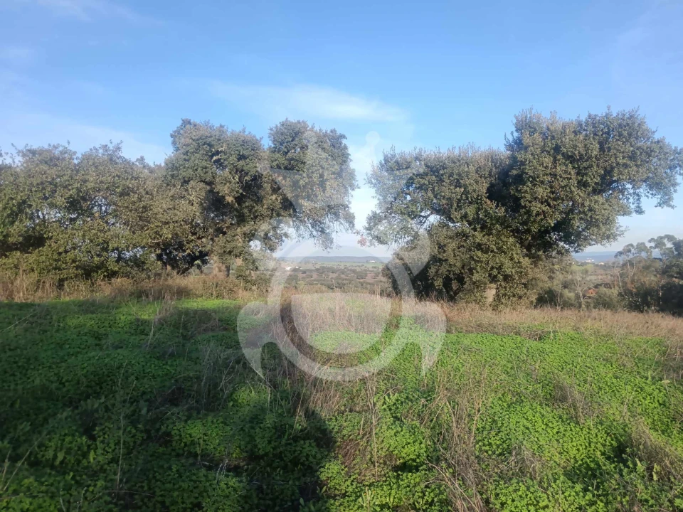 Terreno para Venda em Capelins (Santo Antonio) Foto 15