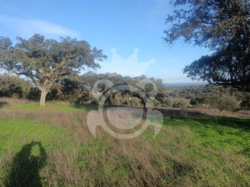 Terreno para Venda em Capelins (Santo Antonio) Foto 13