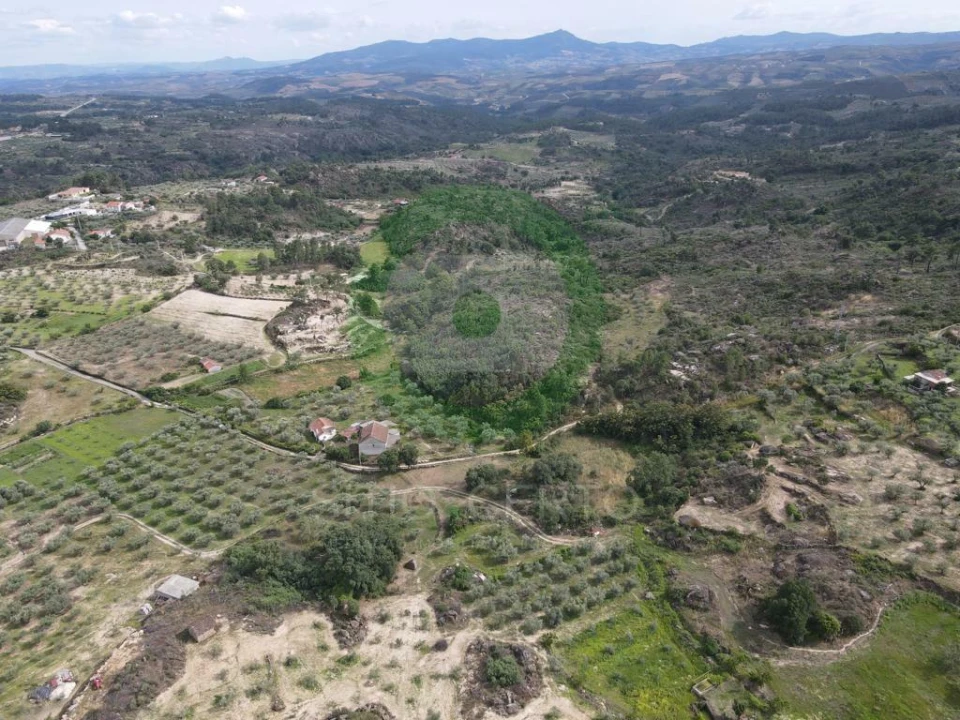 Terreno para Venda em Valpaços e Sanfins Foto 4