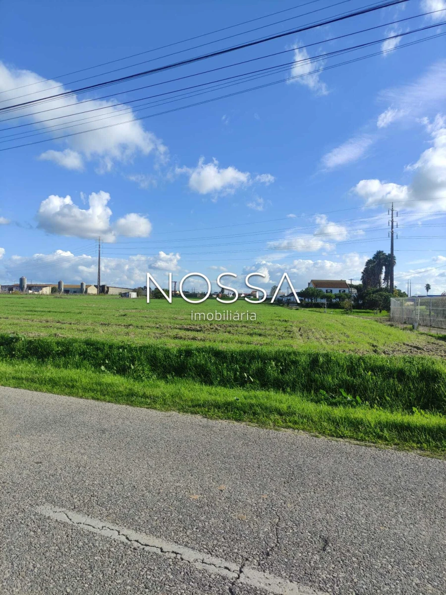 Terreno para Venda em Alcochete Foto 8