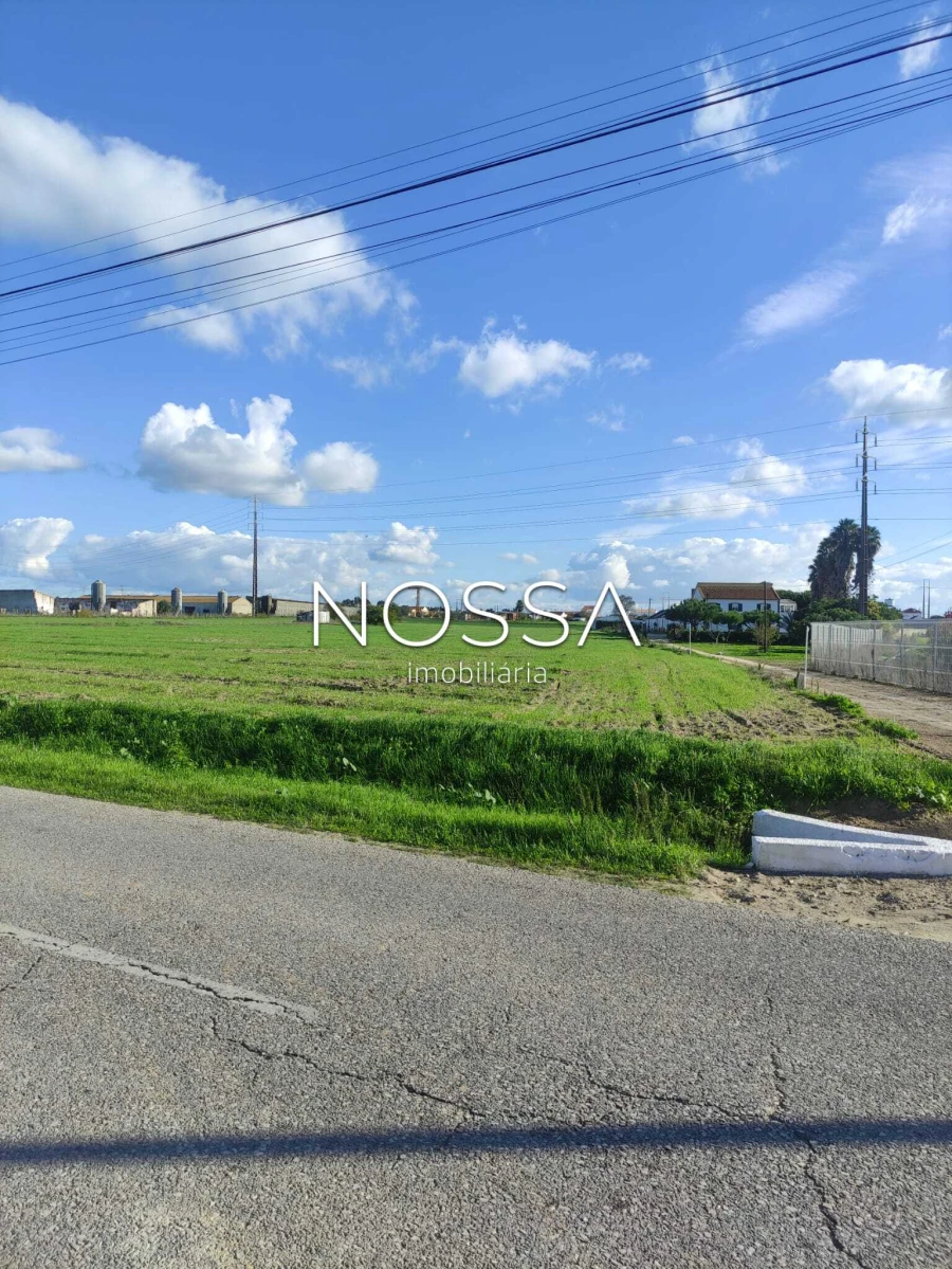 Terreno para Venda em Alcochete Foto 10