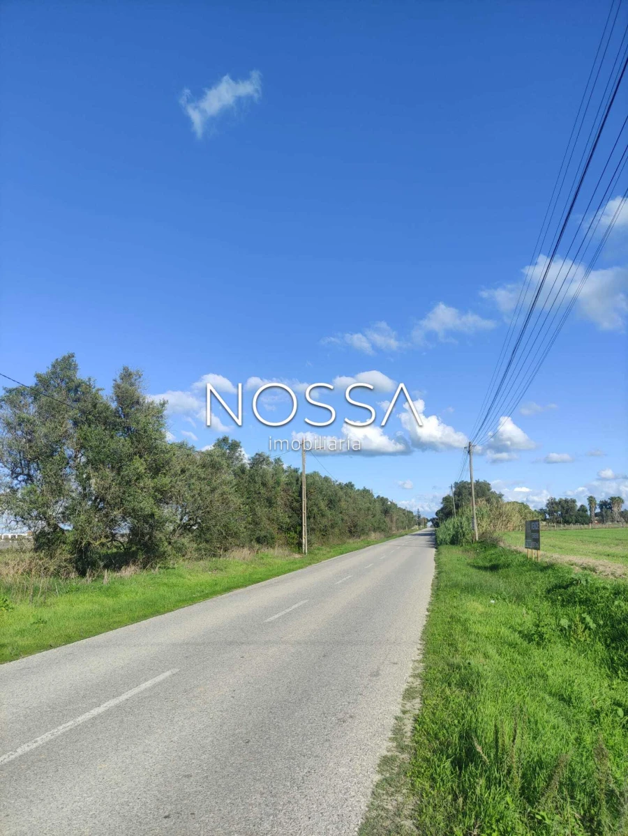 Terreno para Venda em Alcochete Foto 13