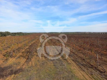 Terreno para Venda em Reguengos de Monsaraz