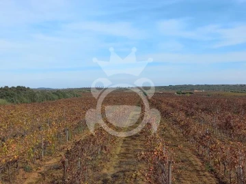 Terreno para Venda em Reguengos de Monsaraz