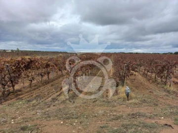 Terreno para Venda em Reguengos de Monsaraz