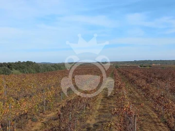 Terreno para Venda em Reguengos de Monsaraz