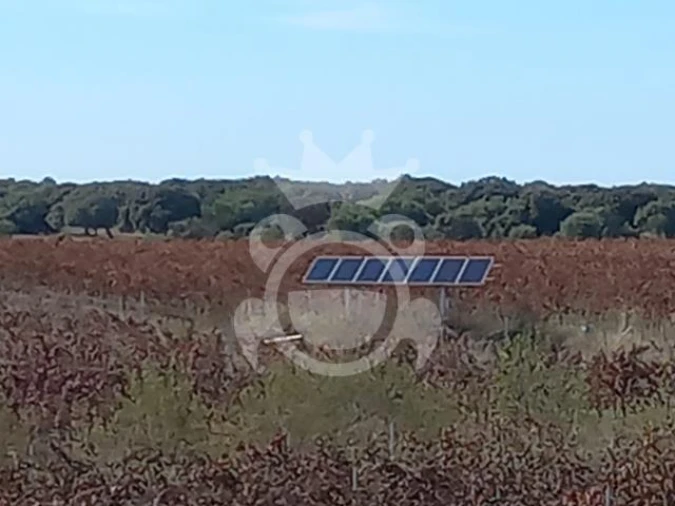 Terreno para Venda em Reguengos de Monsaraz Foto 2