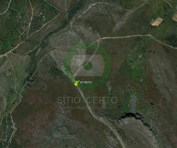 Terreno para Venda em Suçães Foto 2