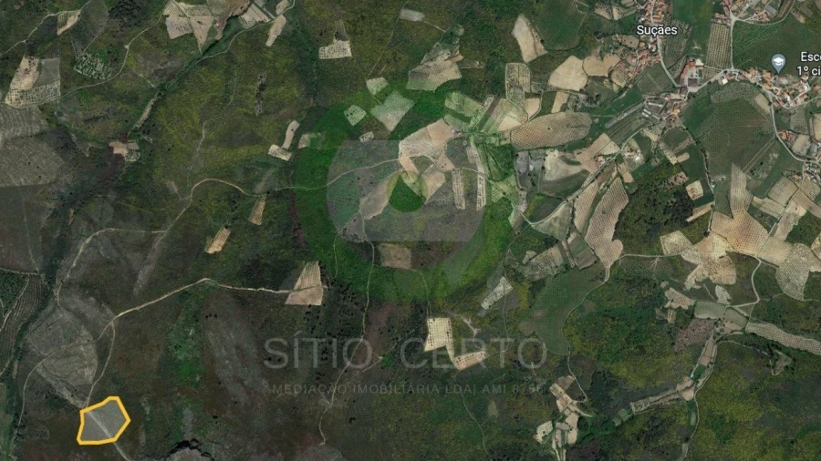 Terreno para Venda em Suçães