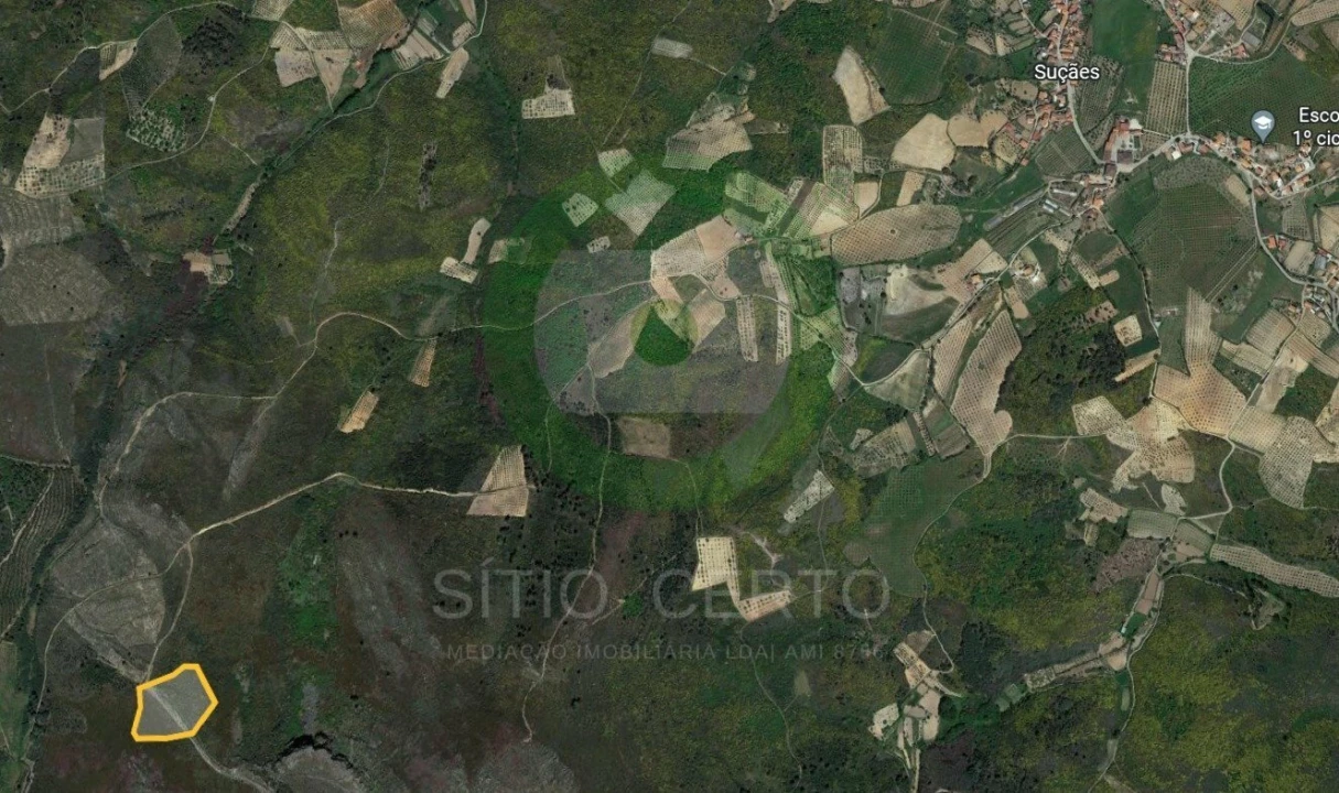 Terreno para Venda em Suçães Foto 1