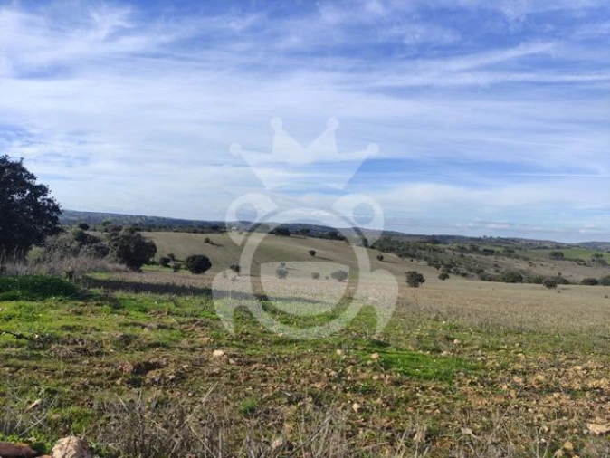 Terreno para Venda em Corval Foto 4
