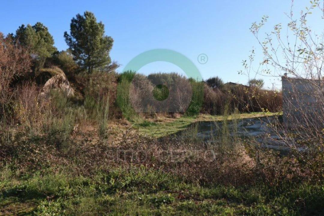 Terreno para Venda em Valpaços e Sanfins Foto 4