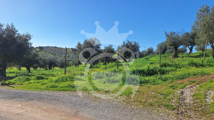 Terreno para Venda em Amieira e Alqueva Foto 4