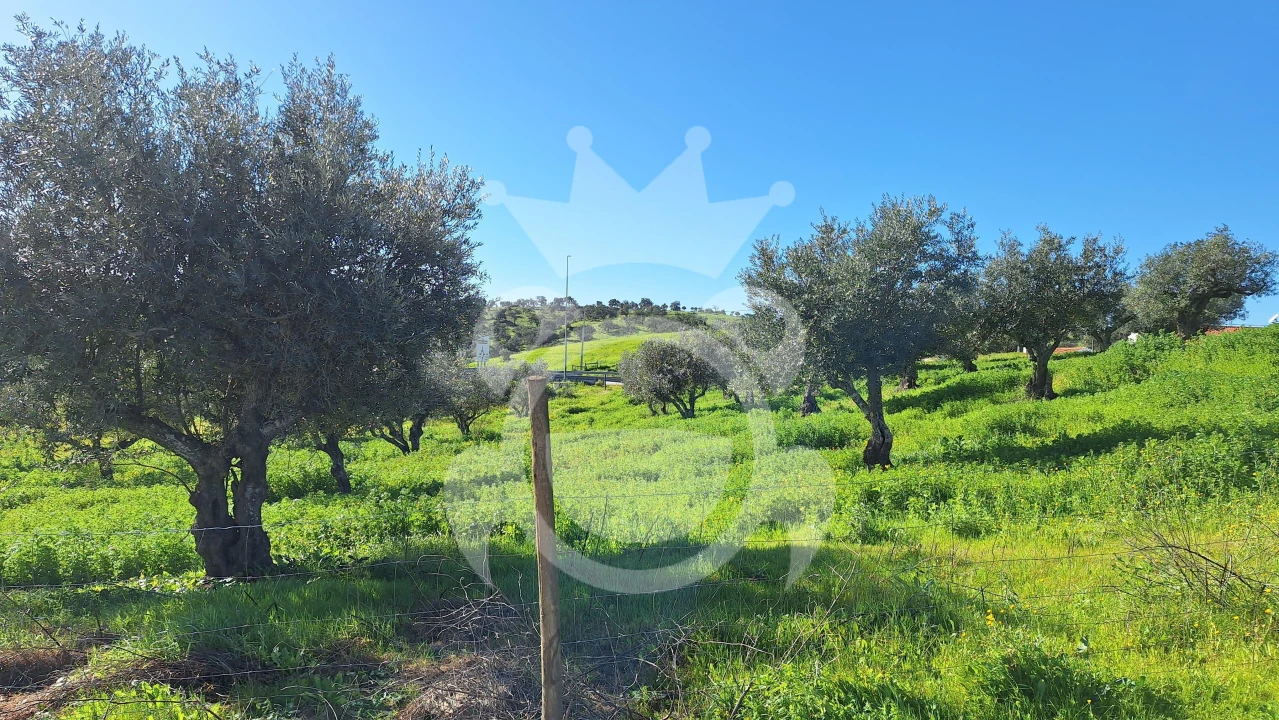 Terreno para Venda em Amieira e Alqueva Foto 2