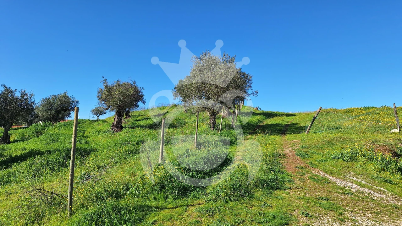 Terreno para Venda em Amieira e Alqueva Foto 3