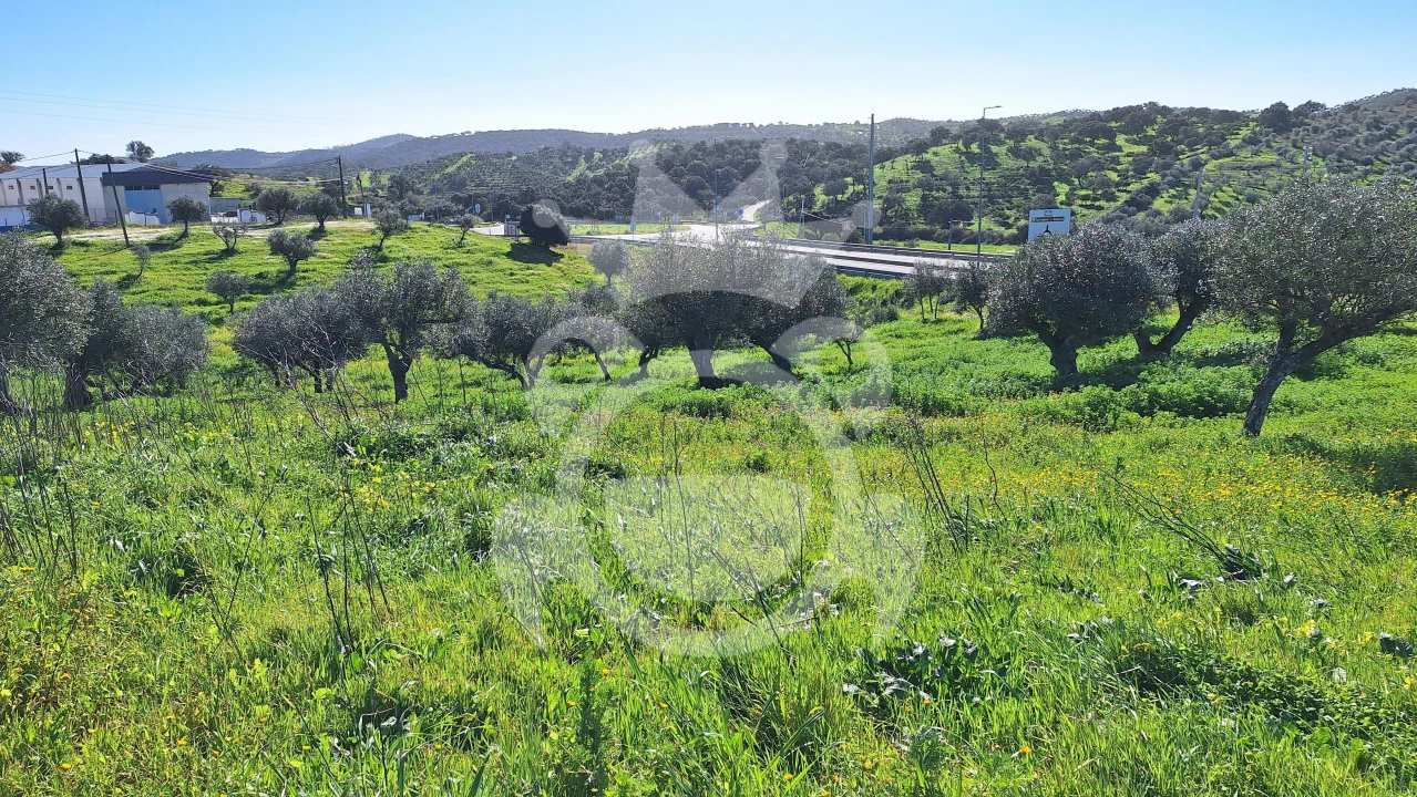 Terreno para Venda em Amieira e Alqueva Foto 9