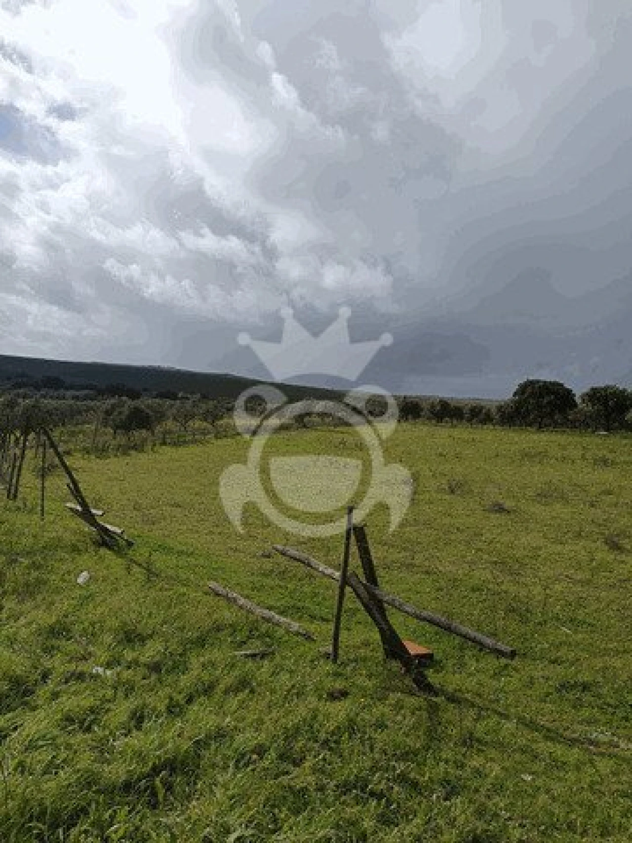 Terreno para Venda em Montoito Foto 7