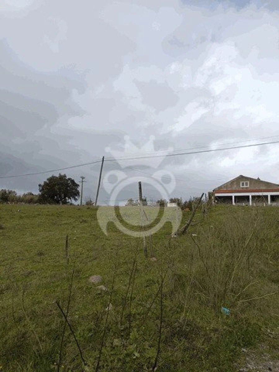 Terreno para Venda em Montoito Foto 14