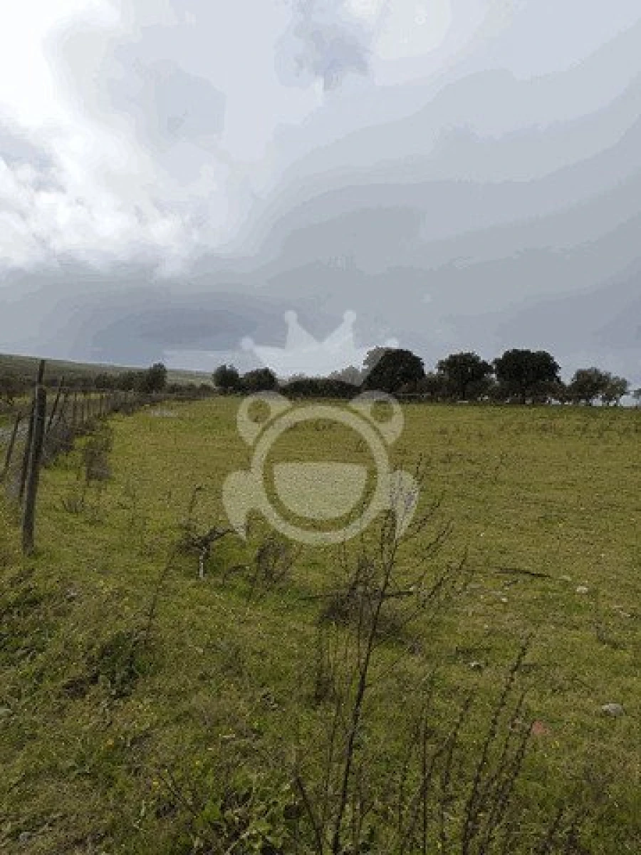 Terreno para Venda em Montoito Foto 11