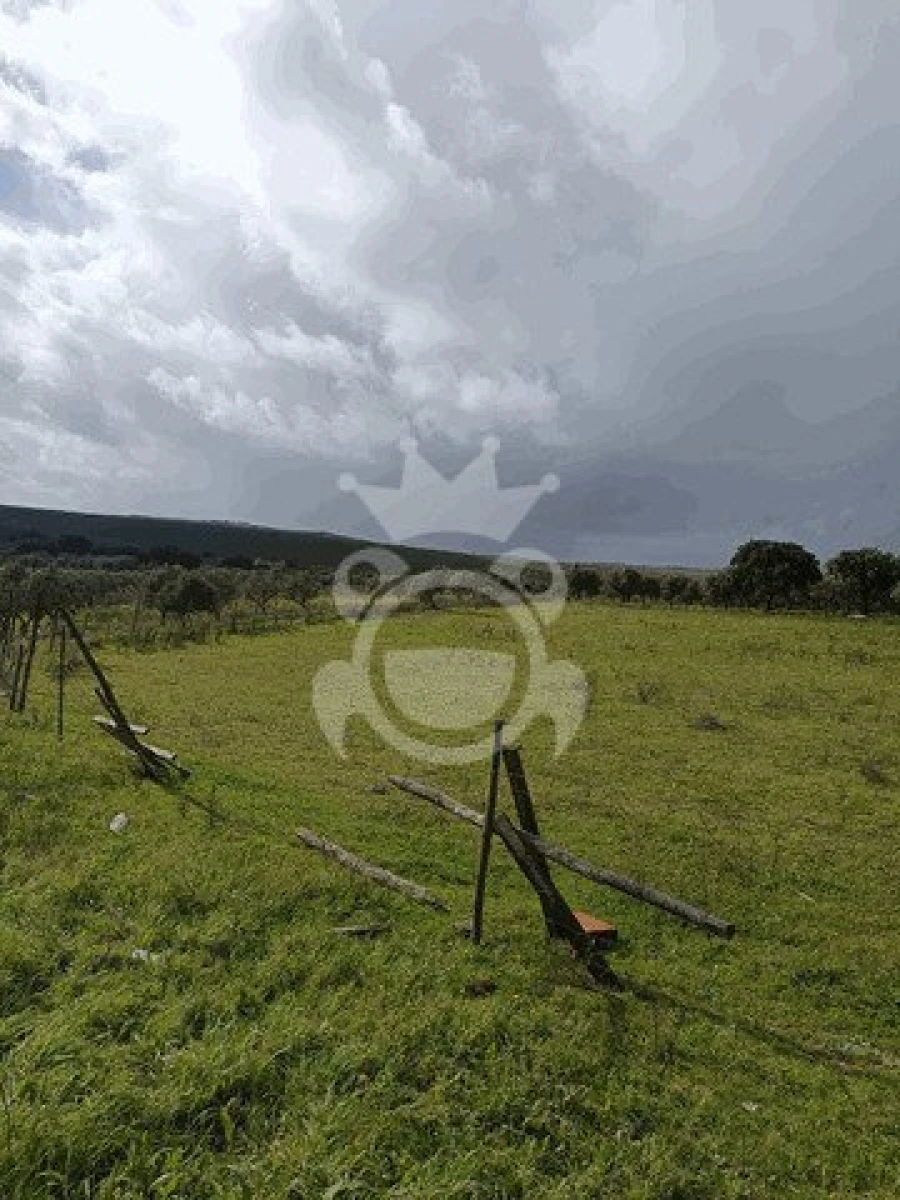 Terreno para Venda em Montoito Foto 7