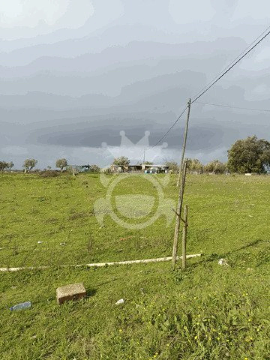 Terreno para Venda em Montoito Foto 6
